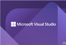 Visual Studio 2022无法连接到Web服务器IIS Express